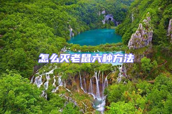 怎么滅老鼠六種方法