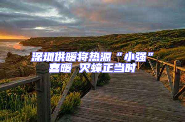 深圳供暖將熱源“小強(qiáng)”喜暖 滅蟑正當(dāng)時(shí)