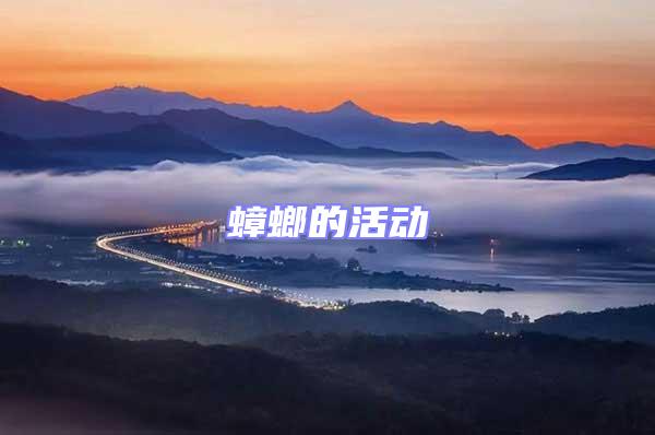 蟑螂的活動(dòng)