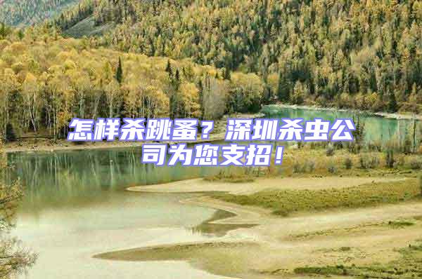 怎樣殺跳蚤？深圳殺蟲公司為您支招！