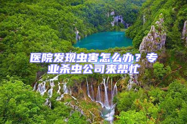醫院發現蟲害怎么辦?專業殺蟲公司來幫忙