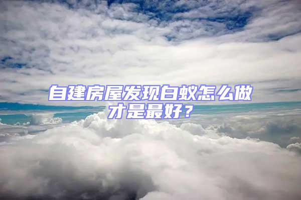 自建房屋發(fā)現(xiàn)白蟻怎么做才是最好？