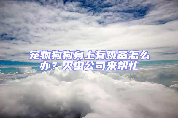 寵物狗狗身上有跳蚤怎么辦?滅蟲公司來幫忙