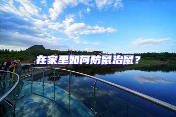 在家里如何防鼠治鼠?