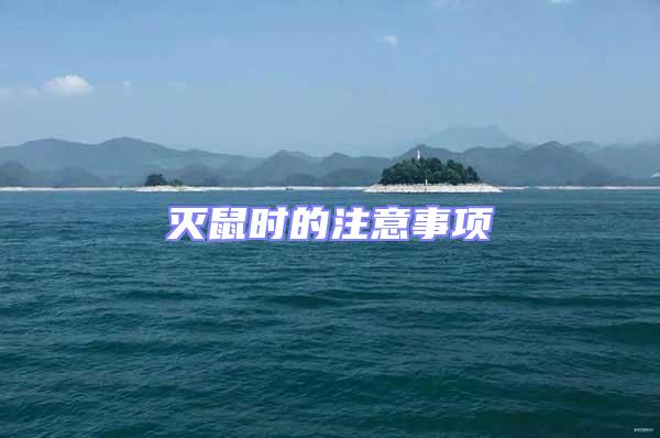 滅鼠時(shí)的注意事項(xiàng)