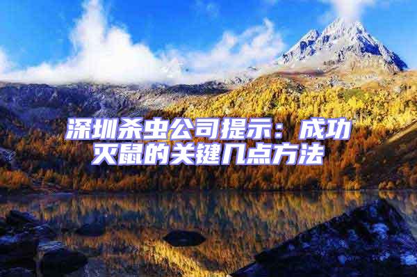 深圳殺蟲公司提示：成功滅鼠的關鍵幾點方法