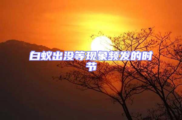 白蟻出沒等現(xiàn)象頻發(fā)的時節(jié)