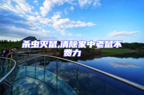 殺蟲滅鼠,清除家中老鼠不費力