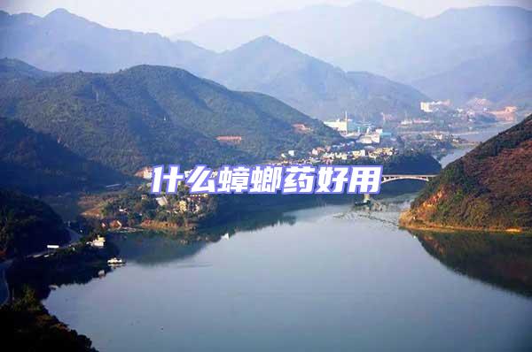 什么蟑螂藥好用