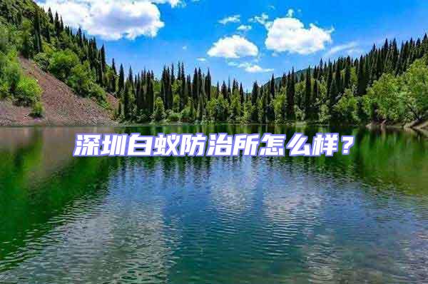 深圳白蟻防治所怎么樣?