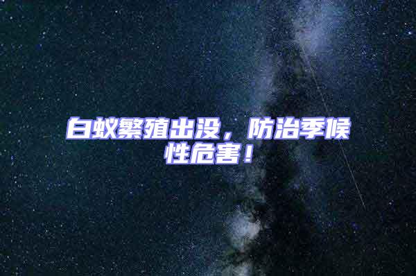 白蟻繁殖出沒，防治季候性危害！