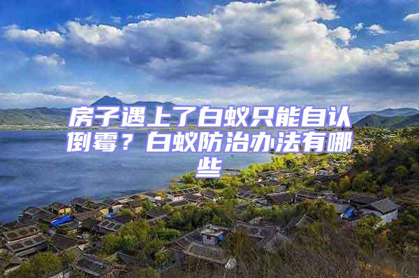 房子遇上了白蟻只能自認倒霉?白蟻防治辦法有哪些