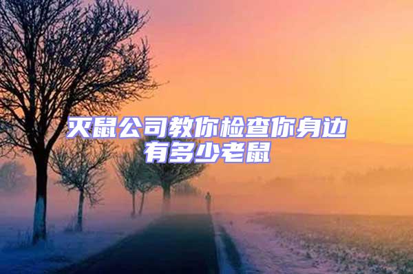 滅鼠公司教你檢查你身邊有多少老鼠