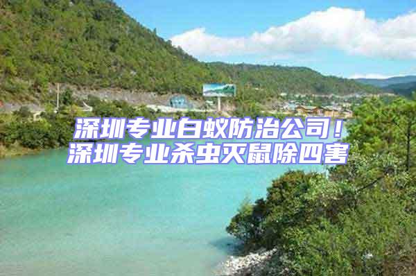 深圳專業白蟻防治公司!深圳專業殺蟲滅鼠除四害