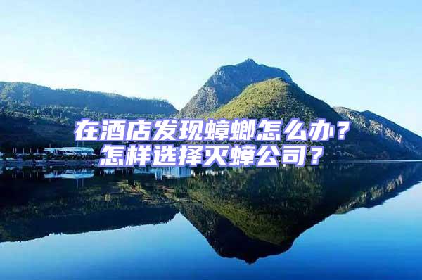 在酒店發現蟑螂怎么辦?怎樣選擇滅蟑公司?