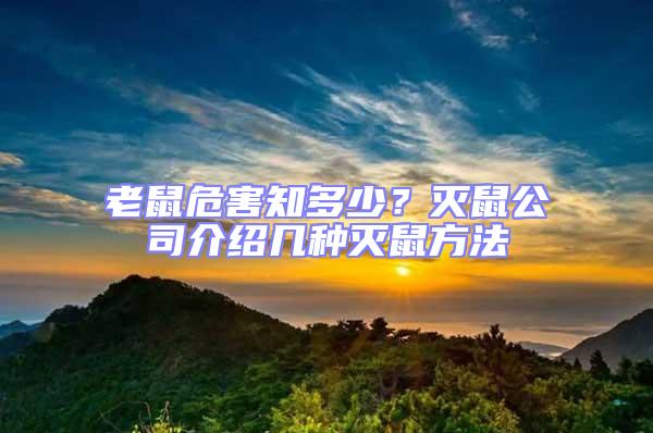 老鼠危害知多少?滅鼠公司介紹幾種滅鼠方法