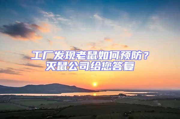 工廠發(fā)現(xiàn)老鼠如何預(yù)防?滅鼠公司給您答復(fù)