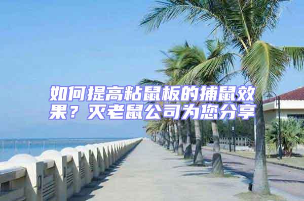 如何提高粘鼠板的捕鼠效果?滅老鼠公司為您分享