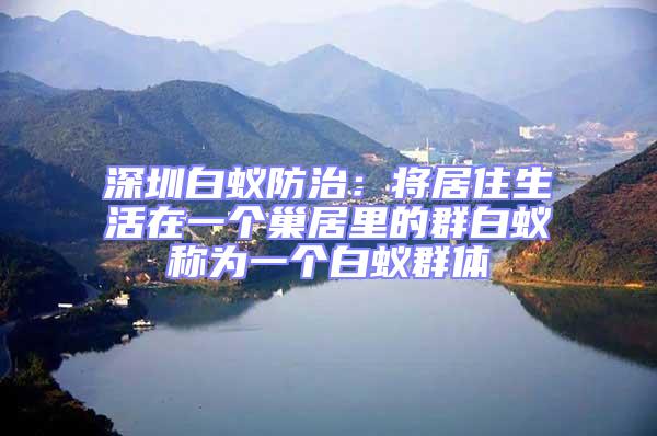 深圳白蟻防治:將居住生活在一個巢居里的群白蟻稱為一個白蟻群體