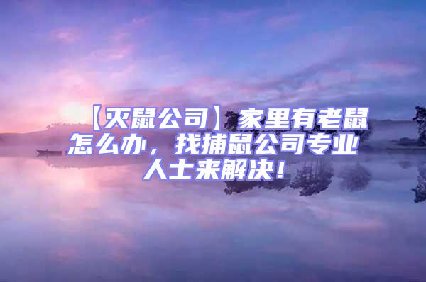 【滅鼠公司】家里有老鼠怎么辦,找捕鼠公司專業人士來解決!