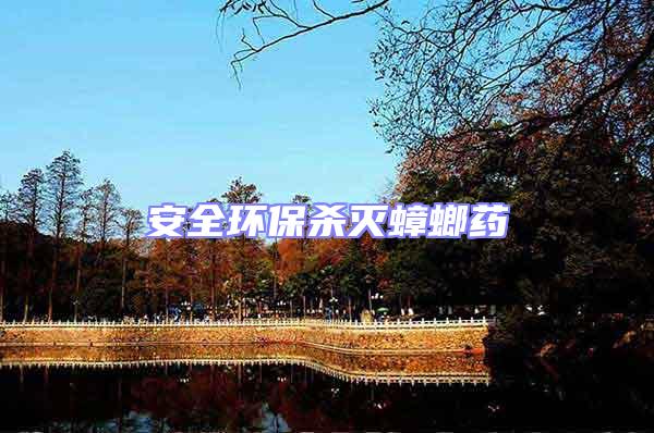 安全環(huán)保殺滅蟑螂藥