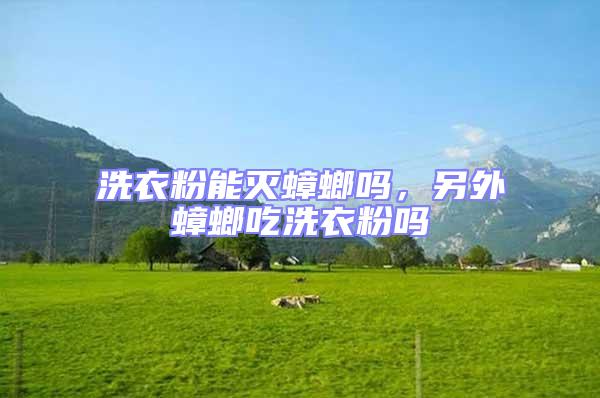 洗衣粉能滅蟑螂嗎，另外蟑螂吃洗衣粉嗎