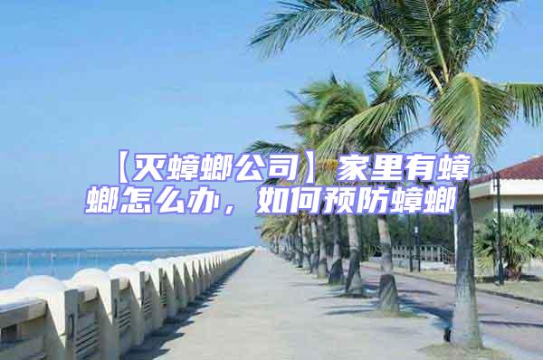 【滅蟑螂公司】家里有蟑螂怎么辦，如何預防蟑螂