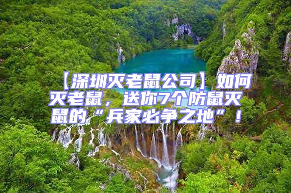 【深圳滅老鼠公司】如何滅老鼠，送你7個(gè)防鼠滅鼠的“兵家必爭(zhēng)之地”！