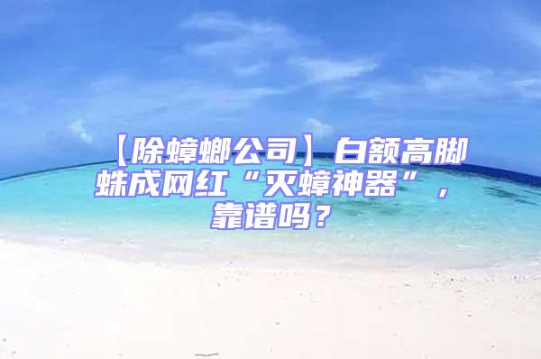 【除蟑螂公司】白額高腳蛛成網(wǎng)紅“滅蟑神器”，靠譜嗎？