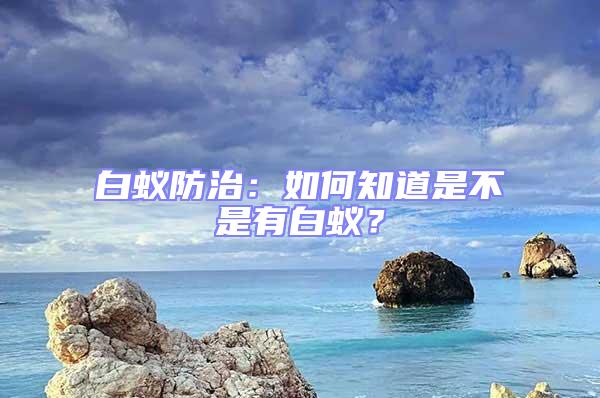 白蟻防治:如何知道是不是有白蟻?