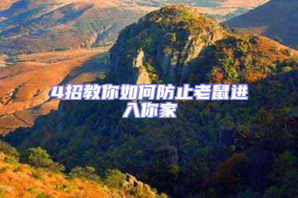 4招教你如何防止老鼠進入你家