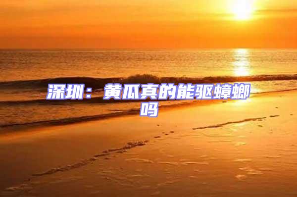 深圳:黃瓜真的能驅(qū)蟑螂嗎