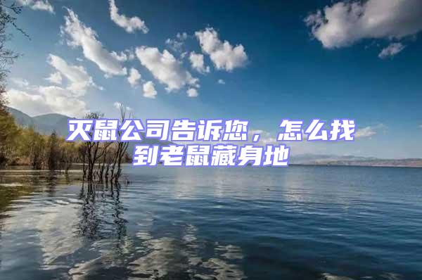 滅鼠公司告訴您,怎么找到老鼠藏身地