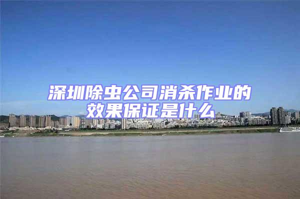 深圳除蟲(chóng)公司消殺作業(yè)的效果保證是什么