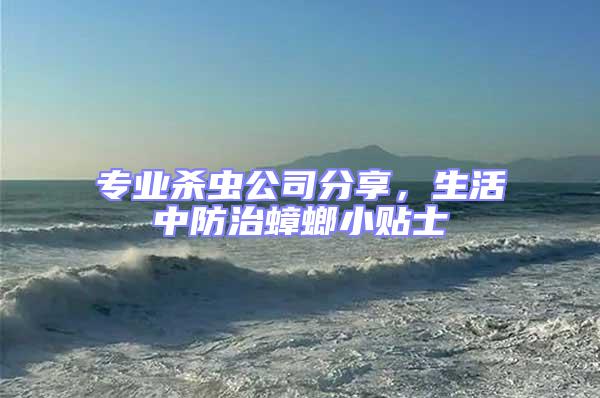 專業殺蟲公司分享,生活中防治蟑螂小貼士