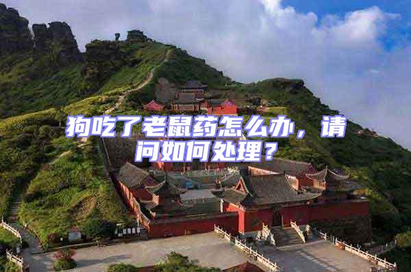 狗吃了老鼠藥怎么辦，請問如何處理？