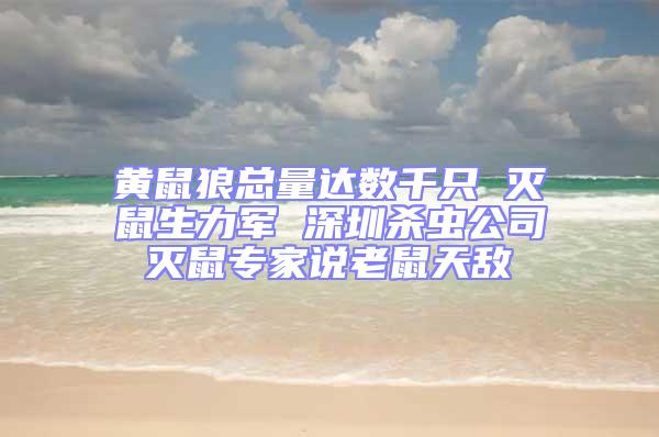 黃鼠狼總量達(dá)數(shù)千只 滅鼠生力軍 深圳殺蟲(chóng)公司滅鼠專家說(shuō)老鼠天敵