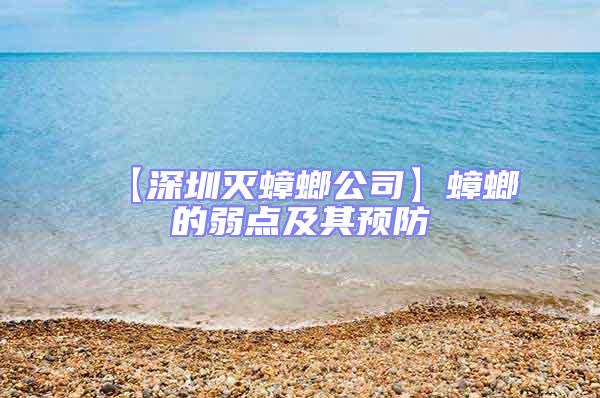 【深圳滅蟑螂公司】蟑螂的弱點(diǎn)及其預(yù)防