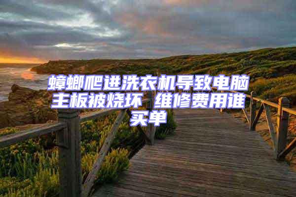 蟑螂爬進(jìn)洗衣機(jī)導(dǎo)致電腦主板被燒壞 維修費用誰買單