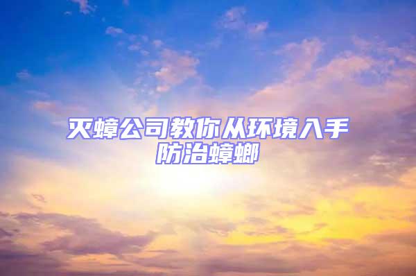 滅蟑公司教你從環境入手防治蟑螂