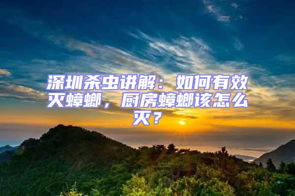 深圳殺蟲(chóng)講解:如何有效滅蟑螂,廚房蟑螂該怎么滅?
