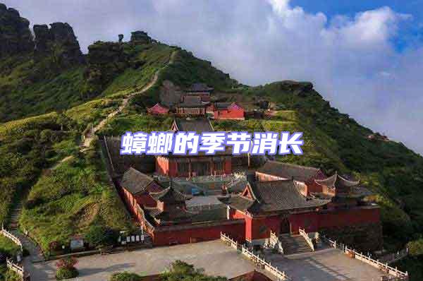 蟑螂的季節(jié)消長