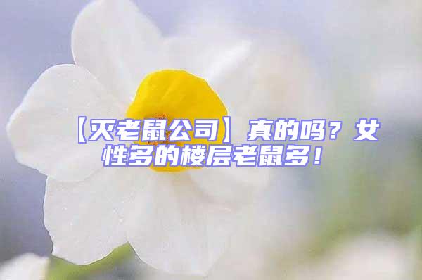 【滅老鼠公司】真的嗎？女性多的樓層老鼠多！