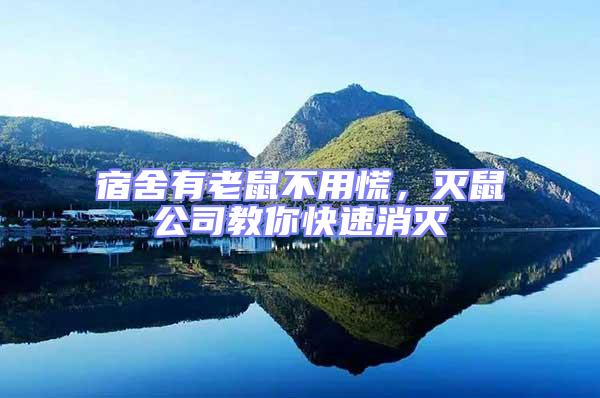 宿舍有老鼠不用慌，滅鼠公司教你快速消滅