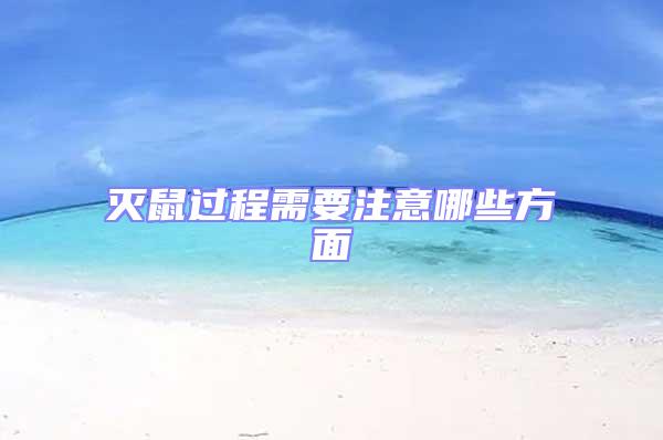 滅鼠過(guò)程需要注意哪些方面