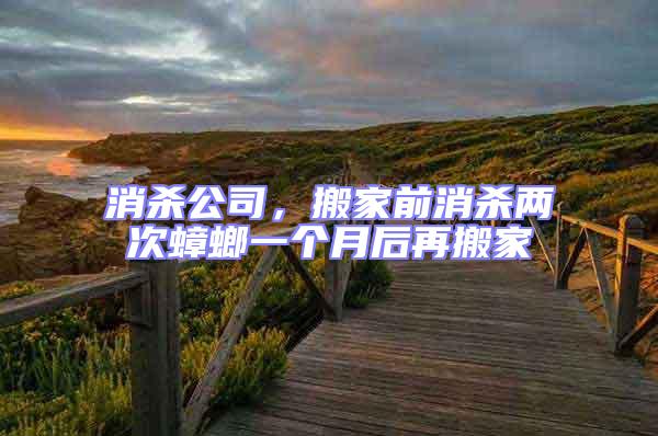 消殺公司，搬家前消殺兩次蟑螂一個月后再搬家