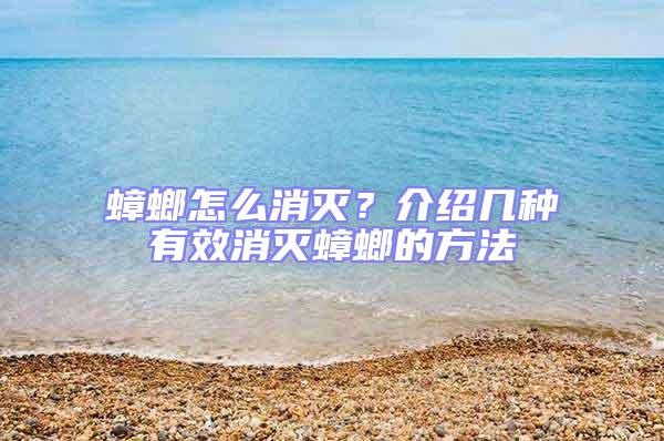 蟑螂怎么消滅?介紹幾種有效消滅蟑螂的方法