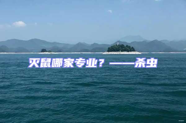 滅鼠哪家專業?——殺蟲