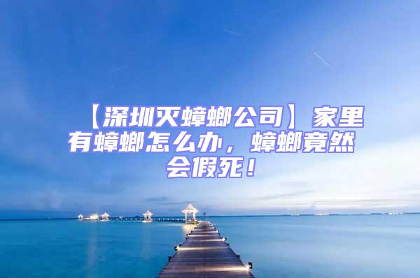 【深圳滅蟑螂公司】家里有蟑螂怎么辦，蟑螂竟然會假死！