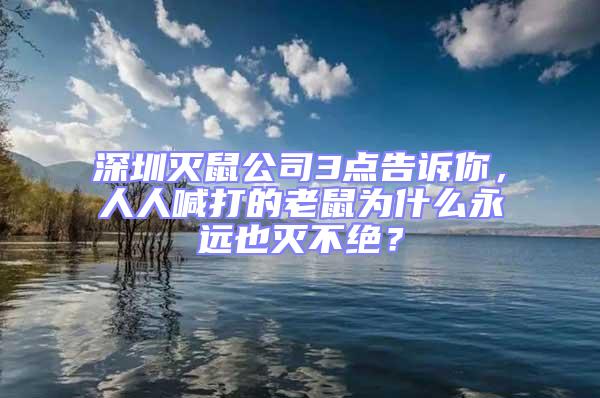 深圳滅鼠公司3點告訴你，人人喊打的老鼠為什么永遠也滅不絕？